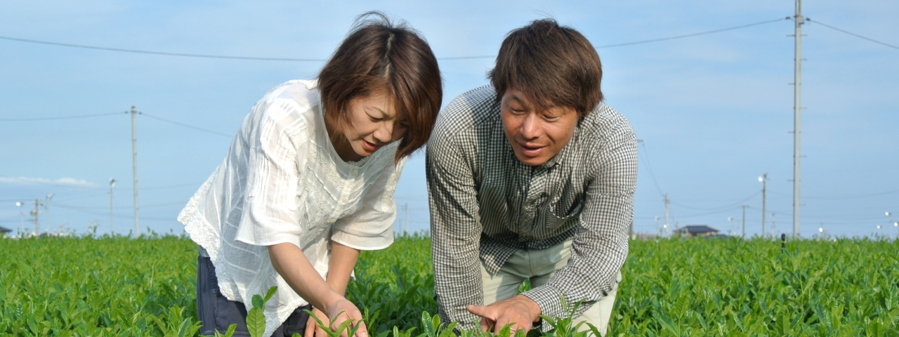 農園紹介